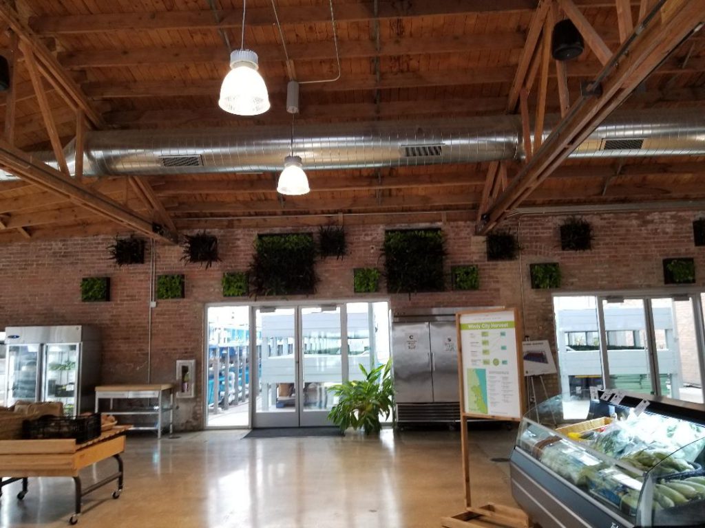 Veggie coop in North Lawndale brings fresh produce to residents with